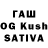 A-PVP VHQ Kaisar Tastulekov