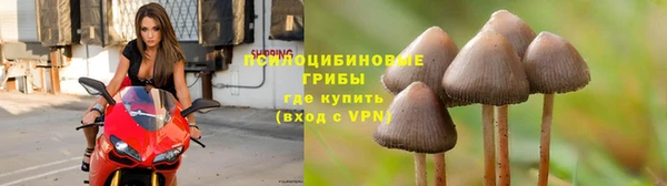 не бодяженный Алзамай