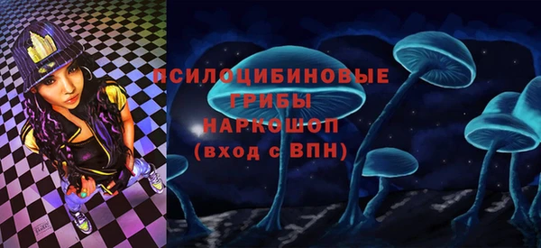 тгк Переславль-Залесский