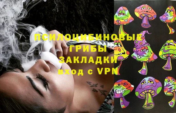 спиды Алексин