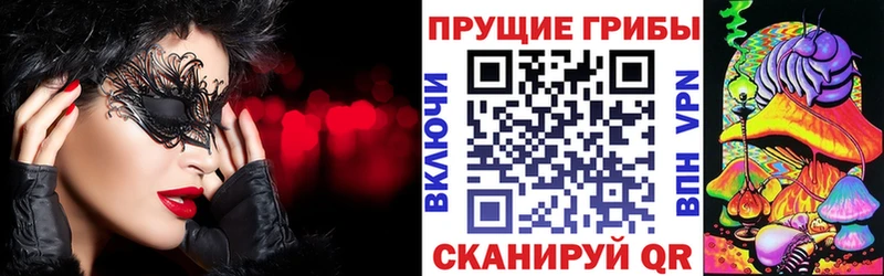 Псилоцибиновые грибы GOLDEN TEACHER  площадка наркотические препараты  Аткарск  купить наркотик 